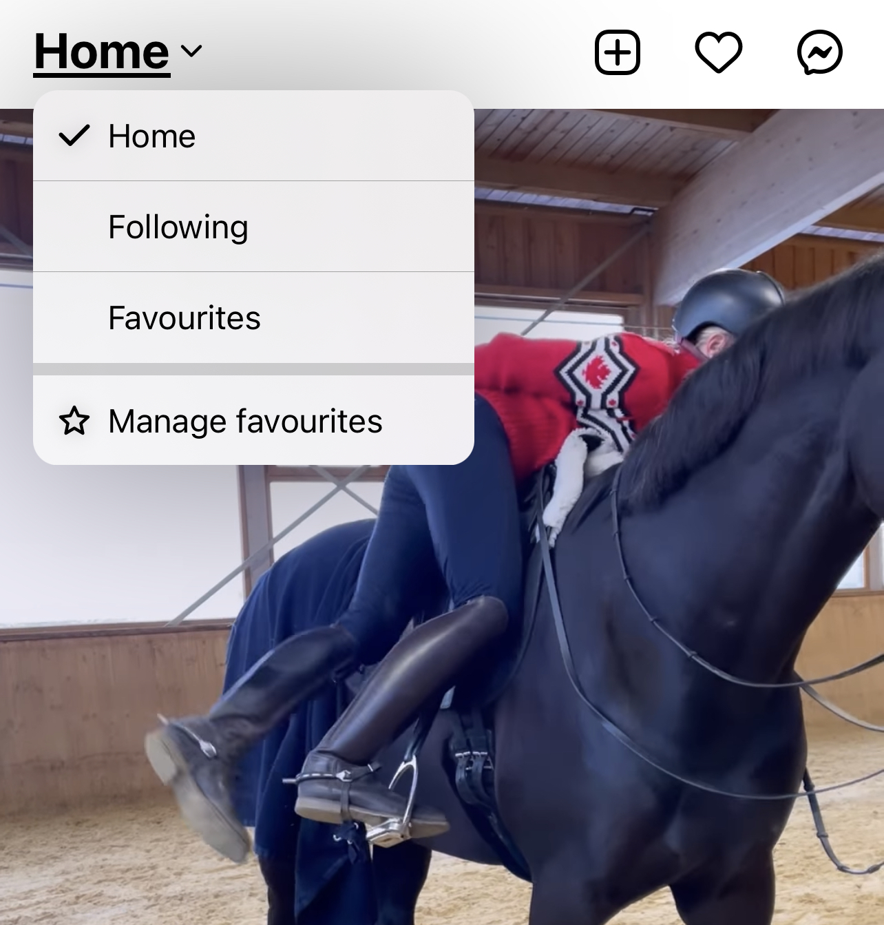 How Your Equestrian Instagram Feed Works in 2022
